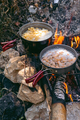 Cooking dinner in metal utensils for camping. Campfire at the campsite. Shrimp in white wine and pasta. Foldable portable dishes for tourists. Vertical photo