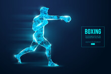 Abstract Silhouette Of A Wireframe Boxer Fighter With Boxing Gloves On The Blue Background. Boxer Is Winner. Convenient Organization Of Eps File. Vector Illustration. Thanks For Watching