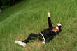 © Maxim - girl with virtual reality glasses lies on the grass reaches for him