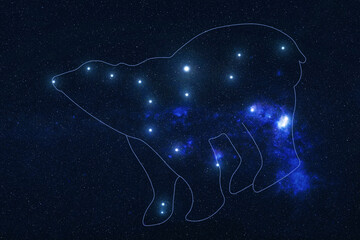 Wall Mural - ursa major constellation stars in outer space with shape of a bear in lines. elements of this image 