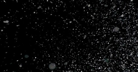 Wall Mural - cloud of white snowflakes floating in the air. the shiny flakes are falling slowly from the sky agai