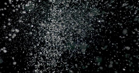 Wall Mural - strong snow blizzard blowing from different directions over an isolated black background