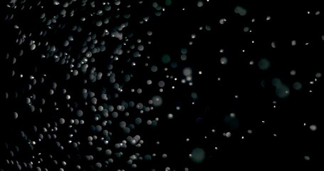 Wall Mural - shiny snowflakes dropping from the sky slowly. the video was shot while the snowflakes were on an is
