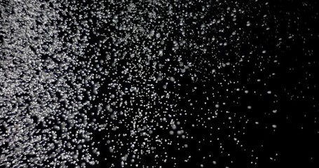 Wall Mural - white snowflakes falling in slow motion against an isolated black background.