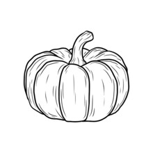 Vector Hand Drawn Pumpkin In Black And White. Food Sketch Illustration For Print, Web, Mobile And Infographics Isolated On White Background.