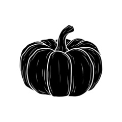 Vector pumpkin in black and white. Food sketch illustration for print, web, mobile and infographics isolated on white background.