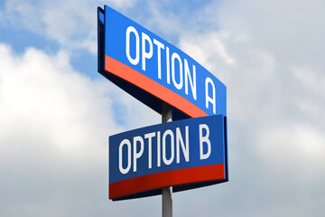 Canvas Print - Option A and option B street sign