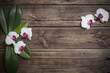 beautiful orchids on old wooden background