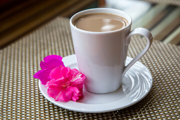 
Close-up shot of a white cup with cappuccino on a white saucer with a pink flower in daylight.