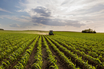 Poster - Tractor harrowing corn field