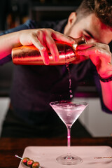 Wall Mural - Professional bartender pouring and preparing martini with olives at bar counter.  Dry vodka martini, gin tonic cocktail served in restaurant, pub and bar. Long drink cocktail concept