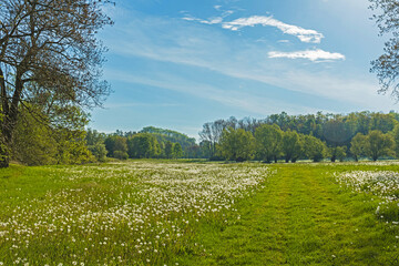 landscape in thuringia in springtime