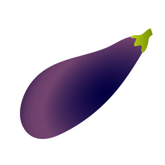 Ripe eggplant aubergine vector illustration