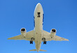 Samolot Boeing 787 Dreamliner lądujący na lotnisku w Warszawie w piękny słoneczny dzień