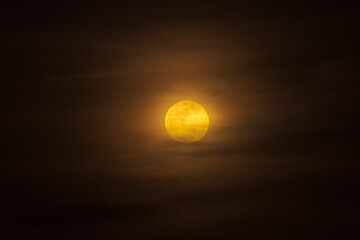 Wall Mural - orange full moon in the foggy night