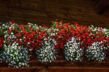 Poster - Traditional woden house facade with colorful flowers in Tirol, Austria