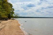 Beach Along The Potomac River In Caledon State Park On Virginia's Northern Neck.