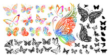 Set Of Multi-colored Butterflies. Monochrome Graceful Butterflies. Vector Illustration