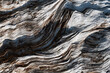 © sissoupitch - Close-up of an old tree trunk