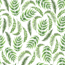 Pattern Of Fern Leaves