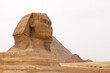 The Great Sphinx and the pyramid of Khufu