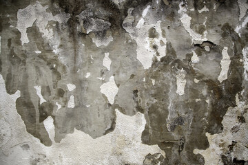 Wall Mural - Wet wall texture