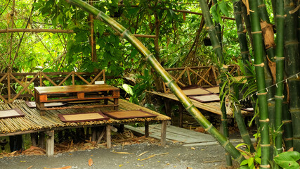 Wall Mural - Wood seats in a garden