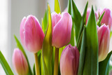 Fototapeta Tulipany - Bouquet of beautiful pink tulips with bright green leaves close-up.