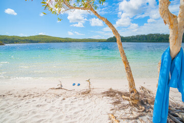 Sticker - Fraser Island Lake McKenzie turquoise water surrounded by bush