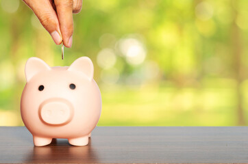 money saving for business investment finance and banking concept. people hands putting coin to piggy bank and row of coin stack on wood table and green blur nature background.