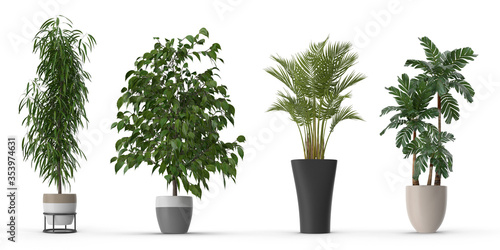 Fotografía Potted Plant set with shadow Isolated on white background,realistic 3d illustration