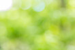 © kaewphoto - Abstract green bokeh and blur from light nature use as background image for pasting text or characters