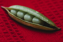 Close-up Of Fresh Green Peas Isolated On Red Cloth