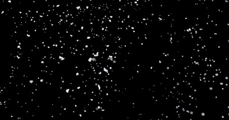 Wall Mural - strong snow blast at night. it shows shiny snowflakes falling from the sky fast against an isolated 