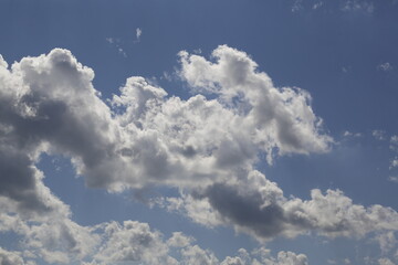 Wall Mural - white fluffy clouds in the blue sky.