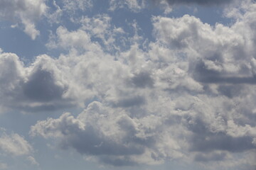 Wall Mural - white fluffy clouds in the blue sky.