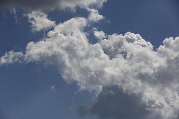 Wall Mural - white fluffy clouds in the blue sky.