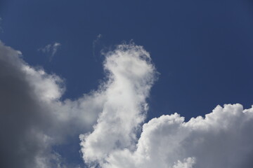 Wall Mural - white fluffy clouds in the blue sky.