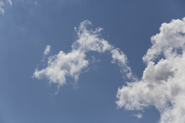 Wall Mural - white fluffy clouds in the blue sky.