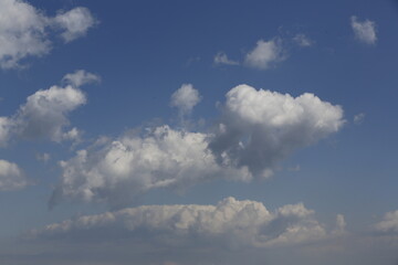 Wall Mural - white fluffy clouds in the blue sky.
