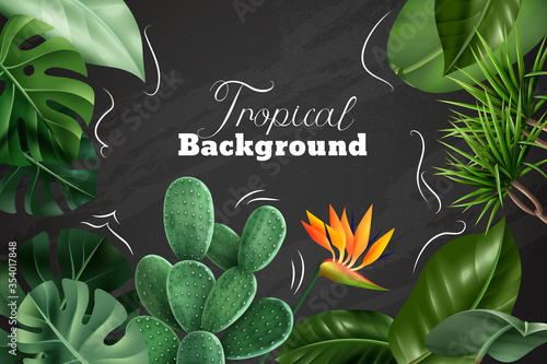 Fotografía Colored Tropical Chalkboard