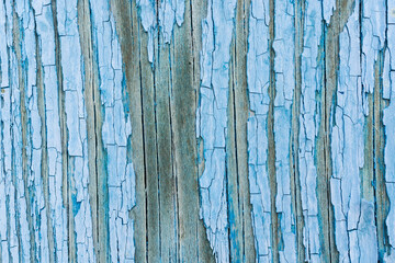 Wall Mural - Blue wood texture