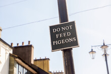 Do Not Feed The Pigeons Sign In Market Place Kendal