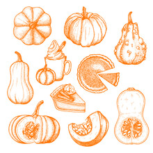 Vector Ink Set With Pumpkins And Desserts In Orange Color