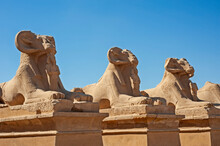 Ram Sphinx At Ancient Egyptian Temple In Luxor