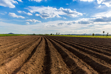 Rows of soil before planting. Furrows row pattern in a plowed field prepared for planting crops in spring. view of land prepared for planting and cultivating the crop.