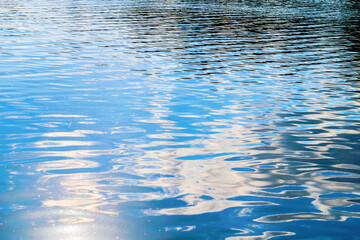 wave on the surface of the lake