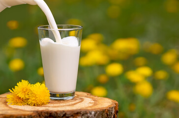 Sticker - milk pouring into glass