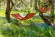 © Eleonora - Beautiful landscape with two  red hammocks in the spring garden with blooming apple trees, sunny day. Concept for relaxation, rural tourism. Selective focus