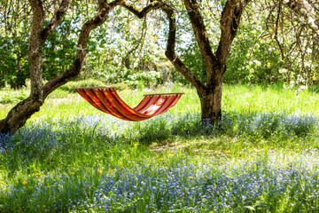 beautiful landscape with red hammock in the spring garden with blooming apple trees, sunny day. conc